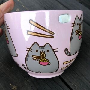Pusheen Noodle Bowl No Chopsticks Ice Cream Soup